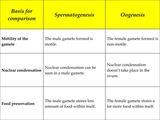 Basis for
comparison
Spermatogenesis Oogenesis
Motility of the
gamete
The male gamete formed is
motile.
The female gamete formed is
non-motile.
Nuclear condensation
Nuclear condensation can be
seen in a male gamete.
Nuclear condensation
doesn’t take place in the
ovum.
Food preservation
The male gamete stores less
amount of food within itself.
The female gamete stores a
lot more food within itself.
 