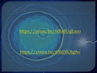 https://youtu.be/6fBa8UqEano
https://youtu.be/63hFfJOJg9w
 