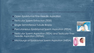  Open Epididymal Fine-Needle Aspiration
 Testicular Sperm Extraction (TESE)
 Single Seminiferous Tubule Biopsy
 Percutaneous Epididymal Sperm Aspiration (PESA)
 Testicular Sperm Aspiration (TESA) and Testicular Fine-
Needle Aspiration (TEFNA)
 Microsurgical Epididymal Sperm Aspiration (MESA)
 