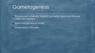  The process whereby haploid gametes (reproductive sex
cells) are created
 Spermatogenesis in males
 Oogenesis in females
Gametogenesis
 