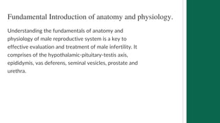 Fundamental Introduction of anatomy and physiology.
Understanding the fundamentals of anatomy and
physiology of male reproductive system is a key to
effective evaluation and treatment of male infertility. It
comprises of the hypothalamic-pituitary-testis axis,
epididymis, vas deferens, seminal vesicles, prostate and
urethra.
 