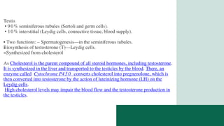 Testis
• 90% seminiferous tubules (Sertoli and germ cells).
• 10% interstitial (Leydig cells, connective tissue, blood supply).
• Two functions: – Spermatogenesis—in the seminiferous tubules.
Biosynthesis of testosterone (T)—Leydig cells.
=Synthesized from cholesterol
As Cholesterol is the parent compound of all steroid hormones, including testosterone.
It is synthesized in the liver and transported to the testicles by the blood. There, an
enzyme called Cytochrome P450 converts cholesterol into pregnenolone, which is
then converted into testosterone by the action of luteinizing hormone (LH) on the
Leydig cells.
High cholesterol levels may impair the blood flow and the testosterone production in
the testicles.
 