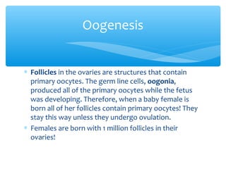 Oogenesis


∗ Follicles in the ovaries are structures that contain
  primary oocytes. The germ line cells, oogonia,
  produced all of the primary oocytes while the fetus
  was developing. Therefore, when a baby female is
  born all of her follicles contain primary oocytes! They
  stay this way unless they undergo ovulation.
∗ Females are born with 1 million follicles in their
  ovaries!
 