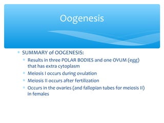 Oogenesis


∗ SUMMARY of OOGENESIS:
 ∗ Results in three POLAR BODIES and one OVUM (egg)
   that has extra cytoplasm
 ∗ Meiosis I occurs during ovulation
 ∗ Meiosis II occurs after fertilization
 ∗ Occurs in the ovaries (and fallopian tubes for meiosis II)
   in females
 