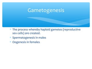 Gametogenesis


∗ The process whereby haploid gametes (reproductive
  sex cells) are created.
∗ Spermatogenesis in males
∗ Oogenesis in females
 