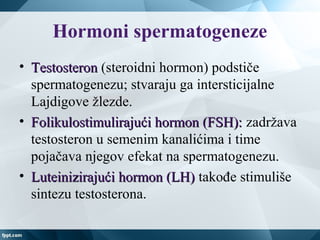 Hormoni spermatogeneze
• TestosteronTestosteron (steroidni hormon) podstiče
spermatogenezu; stvaraju ga intersticijalne
Lajdigove žlezde.
• Folikulostimulirajući hormon (FSH):Folikulostimulirajući hormon (FSH): zadržava
testosteron u semenim kanalićima i time
pojačava njegov efekat na spermatogenezu.
• Luteinizirajući hormon (LH)Luteinizirajući hormon (LH) takođe stimuliše
sintezu testosterona.
 