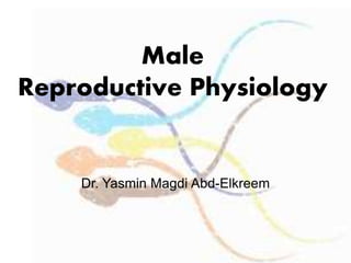 Male
Reproductive Physiology
Dr. Yasmin Magdi Abd-Elkreem
 
