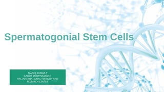 Spermatogonial Stem Cells and In Vitro Spermatogenesis | PPTX