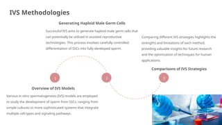 Spermatogonial Stem Cells and In Vitro Spermatogenesis | PPTX