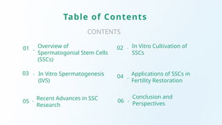 Spermatogonial Stem Cells and In Vitro Spermatogenesis | PPTX