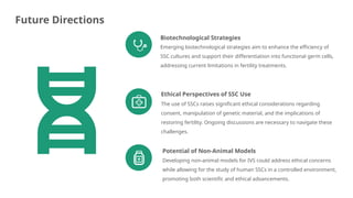 Spermatogonial Stem Cells and In Vitro Spermatogenesis | PPTX