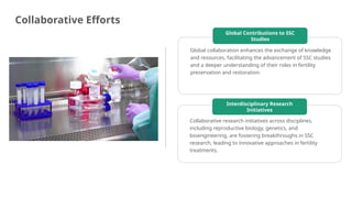 Spermatogonial Stem Cells and In Vitro Spermatogenesis | PPT