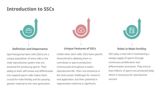 Spermatogonial Stem Cells and In Vitro Spermatogenesis | PPTX
