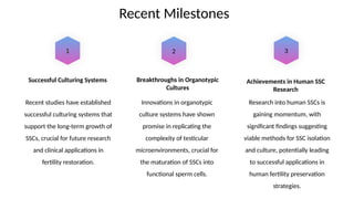 Spermatogonial Stem Cells and In Vitro Spermatogenesis | PPTX