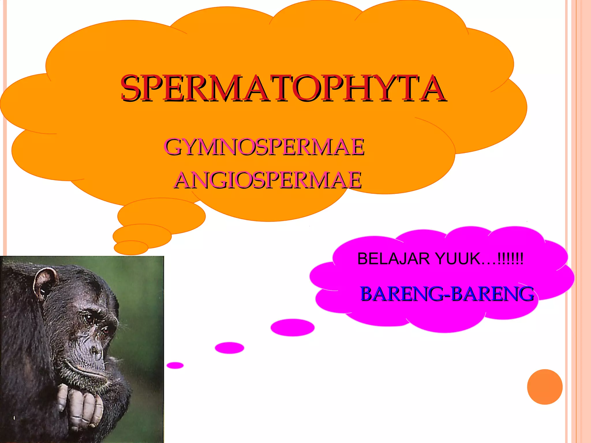 Saten porno galereyalar