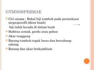 GYMNOSPERMAE
Ciri utama : Bakal biji tumbuh pada permukaan
megasporofil (daun buah)
biji tidak berada di dalam buah
 Habitus semak, perdu atau pohon
 Akar tunggang
 Batang tumbuh tegak lurus dan bercabangcabang
 Batang dan akar berkambium


 