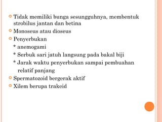Tidak memiliki bunga sesungguhnya, membentuk
strobilus jantan dan betina
 Monoseus atau dioseus
 Penyerbukan
* anemogami
* Serbuk sari jatuh langsung pada bakal biji
* Jarak waktu penyerbukan sampai pembuahan
relatif panjang
 Spermatozoid bergerak aktif
 Xilem berupa trakeid


 