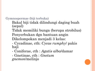 Gymnospermae (biji terbuka)

Bakal biji tidak dilindungi daging buah
(sepal)
Tidak memiliki bunga (berupa strobilus)
Penyerbukan dgn bantuan angin
Dikelompokan menjadi 3 kelas:
- Cycadinae, cth: Cycas rumphy/ pakis
haji
- Coniferae, cth : Agatis alba/damar
- Gnetinae, cth : Gnetum
gnemon/melinjo

 