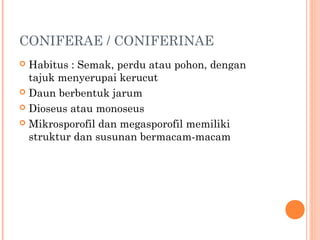 CONIFERAE / CONIFERINAE
Habitus : Semak, perdu atau pohon, dengan
tajuk menyerupai kerucut
 Daun berbentuk jarum
 Dioseus atau monoseus
 Mikrosporofil dan megasporofil memiliki
struktur dan susunan bermacam-macam


 