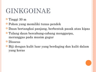 GINKGOINAE
Tinggi 30 m
 Pohon yang memiliki tunas pendek
 Daun bertangkai panjang, berbentuk pasak atau kipas
 Tulang daun bercabang-cabang menggarpu,
meranggas pada musim gugur
 Dioseus
 Biji dengan kulit luar yang berdaging dan kulit dalam
yang keras


 