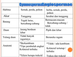 Habitus

Semak, perdu, pohon

Akar

Tunggang

Batang

Tegak lurus,
bercabang-cabang

Daun

Jarang berdaun
lebar
Tidak banyak
ragamnya

Pipih dan lebar

*Berkambium
*Tipe pembuluh angkut
Kolateral terbuka

*Tidak / ada kambium

*Xilem berupa trakeid

Trakea dan trakeid

Tulang daun
Anatomi

herba, semak, perdu,
pohon
Serabut dan tunggang
Bermacam-macam
Bercabang-cabang /
tidak

Beraneka ragam

Kolateral tertutup /
terbuka

 