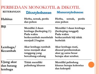 PERBEDAAN MONOKOTIL & DIKOTIL
KETERANGAN

Habitus

Dicotyledoneae

Monocotyledoneae

Herba, semak, perdu
dan pohon

Herba, semak,
atau pohon

Memiliki 2 daun
lembaga (berkeping 2 )
Pada waktu
berkecambah membelah
menjadi 2 bagian

Memiliki 1 daun lembaga
(berkeping tunggal)
Pada waktu
berkecambah biji tidak
berbelah

Lembaga/
Kecambah

Akar lembaga tumbuh
terus menjadi akar
tunggang yang
bercabang-cabang

Akar lembaga mati,
disusul pembentukan
akar yg sama besar
berupa akar serabut.

Ujung akar
dan batang
lembaga

Tidak memiliki
pelindung khusus

Memiliki pelindung
khusus berupa koleoriza
dan koleoptil

Biji

perdu

 