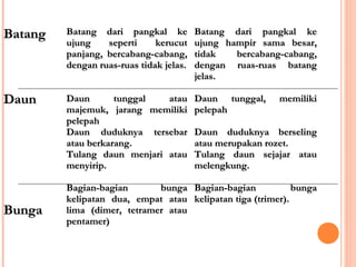 Batang

Batang dari pangkal ke
ujung
seperti
kerucut
panjang, bercabang-cabang,
dengan ruas-ruas tidak jelas.

Batang dari pangkal ke
ujung hampir sama besar,
tidak
bercabang-cabang,
dengan ruas-ruas batang
jelas.

Daun

Daun
tunggal
atau
majemuk, jarang memiliki
pelepah
Daun duduknya tersebar
atau berkarang.
Tulang daun menjari atau
menyirip.

Daun tunggal,
pelepah

Bunga

memiliki

Daun duduknya berseling
atau merupakan rozet.
Tulang daun sejajar atau
melengkung.

Bagian-bagian
bunga Bagian-bagian
bunga
kelipatan dua, empat atau kelipatan tiga (trimer).
lima (dimer, tetramer atau
pentamer)

 