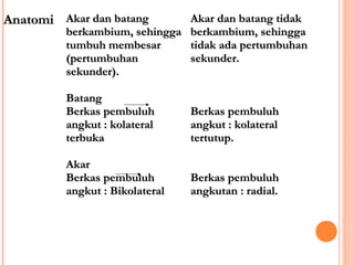 Anatomi Akar dan batang

Akar dan batang tidak
berkambium, sehingga berkambium, sehingga
tumbuh membesar
tidak ada pertumbuhan
(pertumbuhan
sekunder.
sekunder).
Batang
Berkas pembuluh
angkut : kolateral
terbuka

Berkas pembuluh
angkut : kolateral
tertutup.

Akar
Berkas pembuluh
angkut : Bikolateral

Berkas pembuluh
angkutan : radial.

 