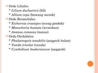 Ordo Liliales
* Lilium duchartrei (lili)
* Allium cepa (bawang merah)
 Ordo Bromeliales
* Eichornia crassipes (eceng gondok)
* Monochoria hastata (wewehan)
* Ananas comosus (nanas)
 Ordo Orchidales
* Phalaenopsis amabilis (anggrek bulan)
* Vanda tricolor (vanda)
* Cymbidium hookerianum (anggrek)


 