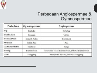 Perbedaan Angiospermae &
Gymnospermae
 