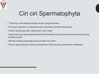 Ciri ciri Spermatophyta
• Tubuhnya makroskopis dengan ukuran yang bervariasi.
• Termasuk organisme multiseluler dan eukariotik (memiliki dinding sel).
• Sudah mempunyai akar, batang dan daun sejati.
• Pada umumnya spermatophyta bersifat fotoautotrof, kecuali pada tumbuhan berbiji yang
bersifat parasit.
• Memiliki berkas pengangkut berupa xilem dan floem.
• Proses reproduksinya melalui penyerbukan (Polinasi) dan pembuahan (fertilisasi).
 