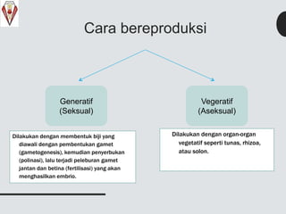 Cara bereproduksi
Dilakukan dengan membentuk biji yang
diawali dengan pembentukan gamet
(gametogenesis), kemudian penyerbukan
(polinasi), lalu terjadi peleburan gamet
jantan dan betina (fertilisasi) yang akan
menghasilkan embrio.
Dilakukan dengan organ-organ
vegetatif seperti tunas, rhizoa,
atau solon.
Generatif
(Seksual)
Vegeratif
(Aseksual)
 