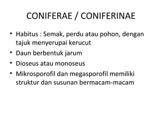 CONIFERAE / CONIFERINAE
• Habitus : Semak, perdu atau pohon, dengan
  tajuk menyerupai kerucut
• Daun berbentuk jarum
• Dioseus atau monoseus
• Mikrosporofil dan megasporofil memiliki
  struktur dan susunan bermacam-macam
 