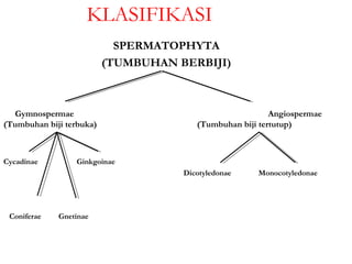 KLASIFIKASI
                            SPERMATOPHYTA
                          (TUMBUHAN BERBIJI)



  Gymnospermae                                            Angiospermae
(Tumbuhan biji terbuka)                 (Tumbuhan biji tertutup)



Cycadinae         Ginkgoinae
                                     Dicotyledonae    Monocotyledonae




 Coniferae   Gnetinae
 