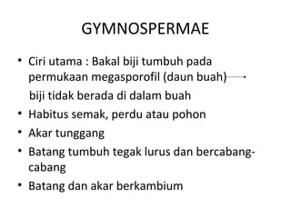 GYMNOSPERMAE
• Ciri utama : Bakal biji tumbuh pada
  permukaan megasporofil (daun buah)
  biji tidak berada di dalam buah
• Habitus semak, perdu atau pohon
• Akar tunggang
• Batang tumbuh tegak lurus dan bercabang-
  cabang
• Batang dan akar berkambium
 