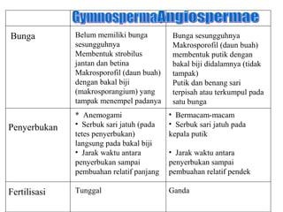 Bunga         Belum memiliki bunga         Bunga sesungguhnya
              sesungguhnya                 Makrosporofil (daun buah)
              Membentuk strobilus          membentuk putik dengan
              jantan dan betina            bakal biji didalamnya (tidak
              Makrosporofil (daun buah)    tampak)
              dengan bakal biji            Putik dan benang sari
              (makrosporangium) yang       terpisah atau terkumpul pada
              tampak menempel padanya      satu bunga
              * Anemogami                 • Bermacam-macam
Penyerbukan   • Serbuk sari jatuh (pada   • Serbuk sari jatuh pada
              tetes penyerbukan)          kepala putik
              langsung pada bakal biji
              • Jarak waktu antara        • Jarak waktu antara
              penyerbukan sampai          penyerbukan sampai
              pembuahan relatif panjang   pembuahan relatif pendek

Fertilisasi   Tunggal                     Ganda
 