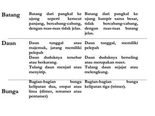 Batang   Batang dari pangkal ke          Batang dari pangkal ke
         ujung    seperti     kerucut    ujung hampir sama besar,
         panjang, bercabang-cabang,      tidak   bercabang-cabang,
         dengan ruas-ruas tidak jelas.   dengan ruas-ruas batang
                                         jelas.

Daun     Daun       tunggal  atau        Daun tunggal,    memiliki
         majemuk, jarang memiliki        pelepah
         pelepah
         Daun duduknya tersebar          Daun duduknya berseling
         atau berkarang.                 atau merupakan rozet.
         Tulang daun menjari atau        Tulang daun sejajar atau
         menyirip.                       melengkung.

         Bagian-bagian       bunga Bagian-bagian            bunga
         kelipatan dua, empat atau kelipatan tiga (trimer).
Bunga    lima (dimer, tetramer atau
         pentamer)
 