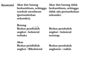 Anatomi Akar dan batang       Akar dan batang tidak
         berkambium, sehingga berkambium, sehingga
         tumbuh membesar      tidak ada pertumbuhan
         (pertumbuhan         sekunder.
         sekunder).

         Batang
         Berkas pembuluh        Berkas pembuluh
         angkut : kolateral     angkut : kolateral
         terbuka                tertutup.

         Akar
         Berkas pembuluh        Berkas pembuluh
         angkut : Bikolateral   angkutan : radial.
 