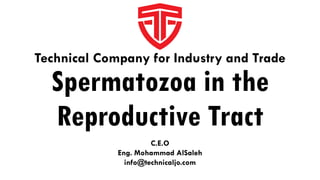 Spermatozoa in the
Reproductive Tract
Technical Company for Industry and Trade
C.E.O
Eng. Mohammad AlSaleh
info@technicaljo.com
 