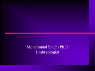 Mohammad Salehi Ph.D
Embryologist
 