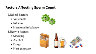 Factors Affecting Sperm Count
Medical Factors
Varicocele
Infection
Hormonal imbalance
Lifestyle Factors
Smoking
Alcohol
Drugs
Heat exposure
 