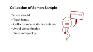Patient should:
• Wash hands
• Collect semen in sterile container
• Avoid contamination
• Transport quickly
Collection of Semen Sample
Collection
 