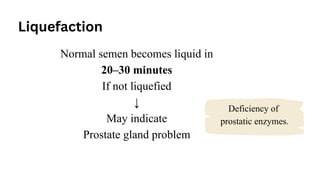 Normal semen becomes liquid in
20–30 minutes
If not liquefied
↓
May indicate
Prostate gland problem
Liquefaction
Deficiency of
prostatic enzymes.
 