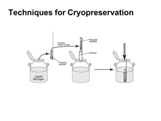 Techniques for Cryopreservation
 