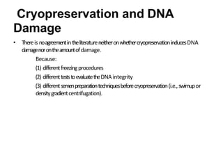 Cryopreservation and DNA
Damage
• Thereis noagreementintheliteratureneitheronwhethercryopreservationinducesDNA
damagenorontheamountofdamage.
Because:
(1) differentfreezingprocedures
(2) differentteststoevaluatetheDNA integrity
(3) differentsemenpreparationtechniquesbeforecryopreservation(i.e.,swimupor
densitygradientcentrifugation).
 