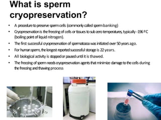 What is sperm
cryopreservation?
• A proceduretopreservespermcells (commonlycalledspermbanking)
• Cryopreservationis thefreezingofcellsortissuestosubzerotemperatures,typically-196ºC
(boilingpointofliquidnitrogen).
• Thefirst successfulcryopreservationofspermatozoawasinitiatedover50yearsago.
• Forhumansperm,thelongestreportedsuccessfulstorageis 22years.
• All biologicalactivityis stoppedorpauseduntilitis thawed.
• Thefreezingofspermneedscryopreservationagentsthatminimizedamagetothecells during
thefreezingandthawingprocess
 