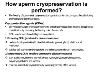 How sperm cryopreservation is
performed?
• Thefreezingofspermneedscryopreservationagentsthatminimizedamagetothecellsduring
thefreezingandthawingprocess.
Cryoprotective agents (CPAs):
• lowmolecularweightchemicalsthatservetoprotectspermatozoafromfreezingdamageorice
crystallization bydecreasingthefreezingpointofmaterials.
• CPAs canbetoxicif usedathighconcentrations.
1.PermeatingCPAs (penetratetheplasmamembrane)
 suchasdimethylacetaldehyde;dimethylsulfoxide,glycerol,glycol, ethyleneand
methanol
 stabilizecellplasmamembraneproteinsandreduceconcentrationsof electrolytes.
2.NonpermeatingCPAs (unabletopenetratetheplasmamembrane)
 suchasalbumins,dextrans,eggyolkcitrate,hydroxyethyl,polyethyleneglycols,
polyvinylpyrollidoneandsucrose
 minimizeintracellularcrystallizationbyincreasingviscosityofthesample.
 