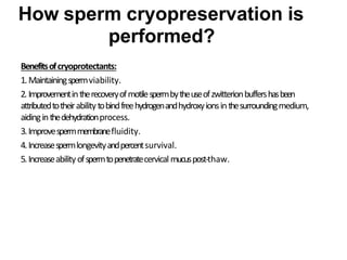 Benefitsofcryoprotectants:
1.Maintainingspermviability.
2. Improvementintherecoveryofmotilespermbytheuseofzwitterionbuffershasbeen
attributedtotheirabilitytobindfreehydrogenandhydroxyionsinthesurroundingmedium,
aidinginthedehydrationprocess.
3.Improvespermmembranefluidity.
4.Increasespermlongevityandpercentsurvival.
5.Increaseability ofspermtopenetratecervical mucuspost-thaw.
How sperm cryopreservation is
performed?
 