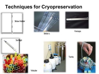 Strawholder
Straws
Forceps
Syringe
Vistube
Techniques for Cryopreservation
Tanks
 