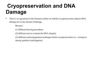 Cryopreservation and DNA
Damage
• There is no agreement in the literature neither on whether cryopreservation induces DNA
damage nor on the amount of damage.
Because:
(1) different freezing procedures
(2) different tests to evaluate the DNA integrity
(3) different semen preparation techniques before cryopreservation (i.e., swimup or
density gradient centrifugation).
 